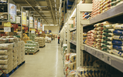 FoodShare Has Higher Enrollment Than Before Pandemic