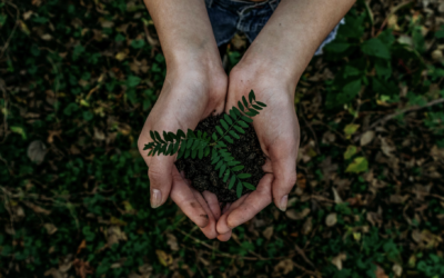 10 Sustainable Habits to Simplify Your Life and Reduce Stress