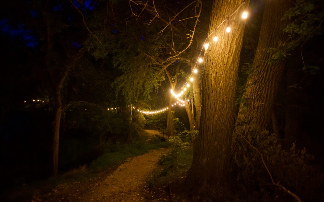 Ingleside Unveils New ‘Lights of Spring’ Show