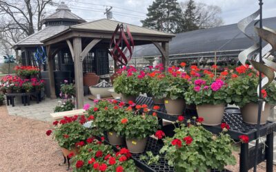 Garden Gate Nursery Prepares for Spring Gardening