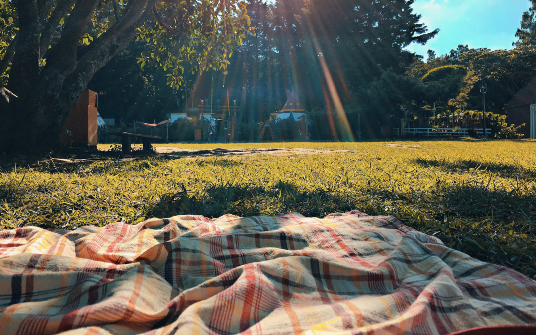 5 Must-Do Activities in Madison, WI This Spring