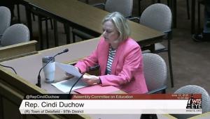 Bill would end recurring school referenda
