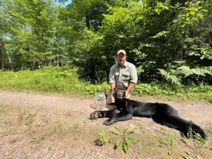 Wisconsin DNR removes jar from bear’s head