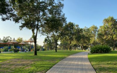 All-Inclusive Playground and Splash Pad Opens in Pewaukee