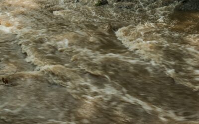 Millpond Dam Failure Looms As Emergency Level Rises