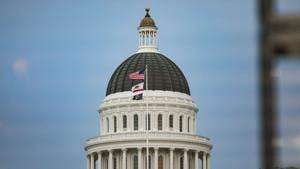 Fitzgerald: Democrats need to reopen government ASAP