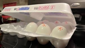 Steil: SNAP benefits restored ‘near instantaneous’ after government reopens