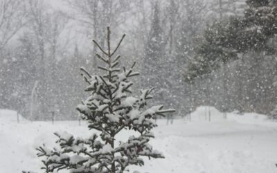 La Niña May Bring Snow, Cold to Southeast WI This Winter