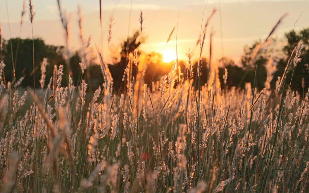 New Pabst Farms Developments Raise Community Concern