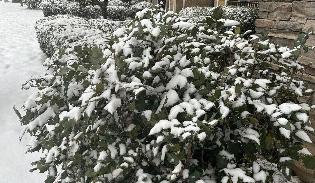 Wisconsin spending Monday under blizzard warning, state of emergency