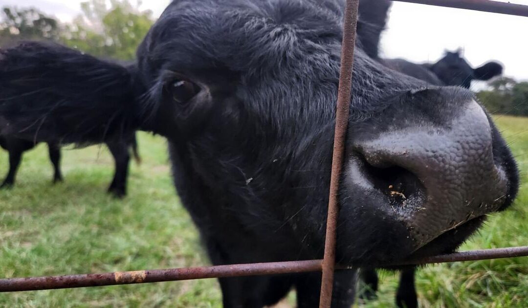 Evers vetoes bill to block DATCP farm market fee increase authority